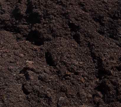 Mushroom-Compost
