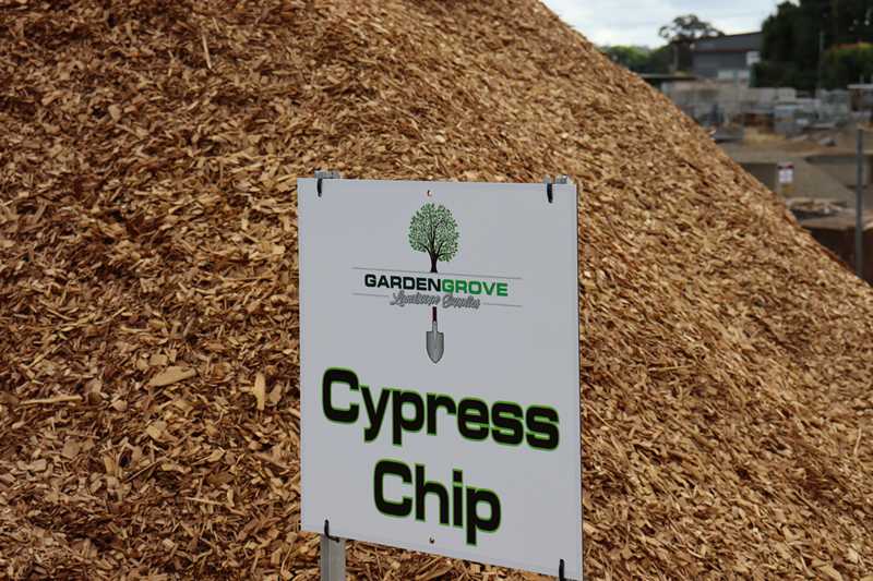 Cypress Chip