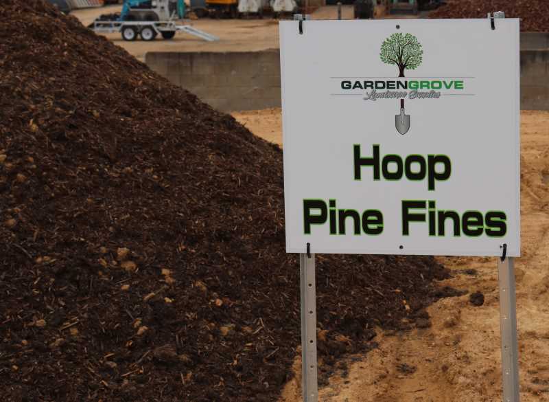 Hoop Pine Fines